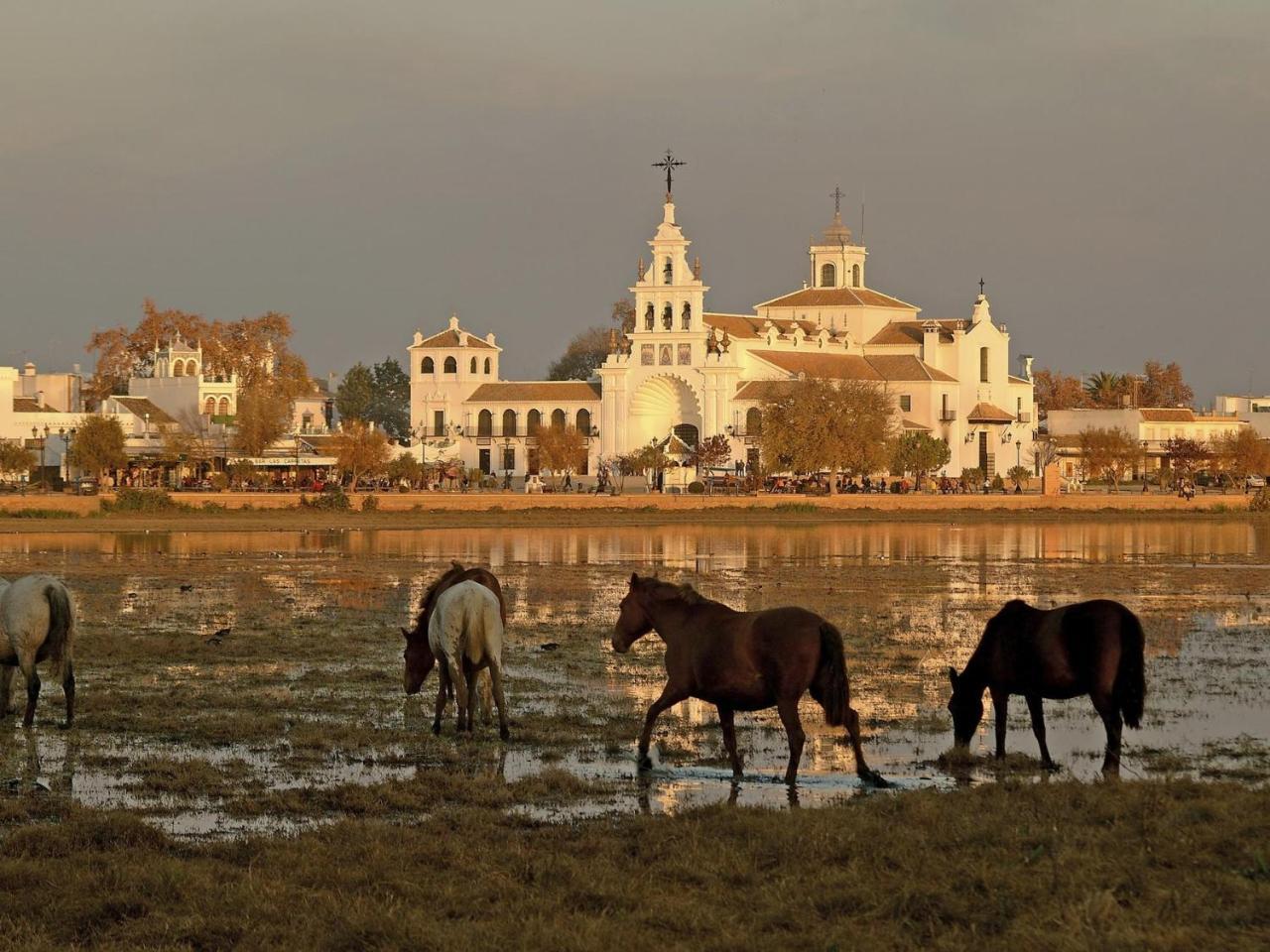 Alojamiento Rural Flamingo El Rocío Eksteriør bilde